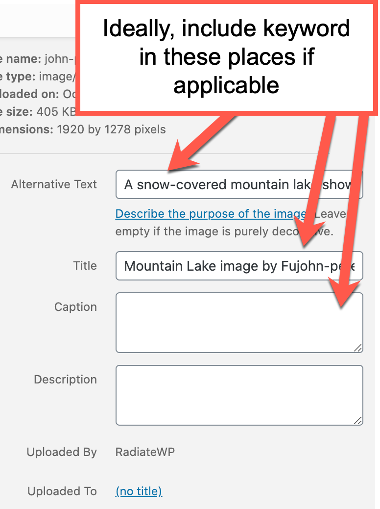 Screenshot looking closer at the alt text field.