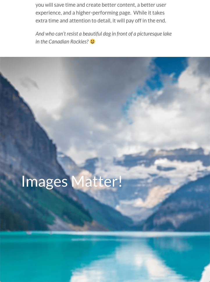 A screenshot that shows how an image shows on a phone and how that is different than a computer. Demonstrates mobile responsiveness.