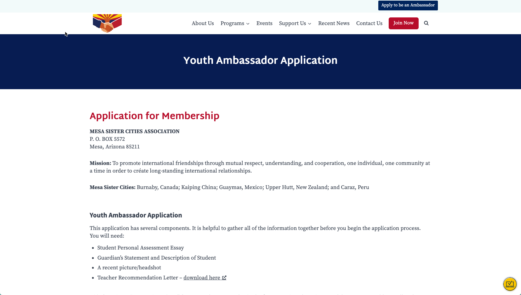 screenshot of the youth ambassador exchange program online form.